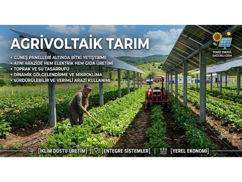 Agrivoltaik